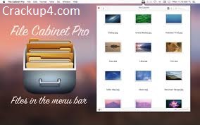 File Cabinet Pro 8.7.1 Crack {Latest Version} for MacOS Download