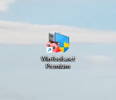 WinTools.net Premium 26.3.1 Crack + Serial Key Free Download